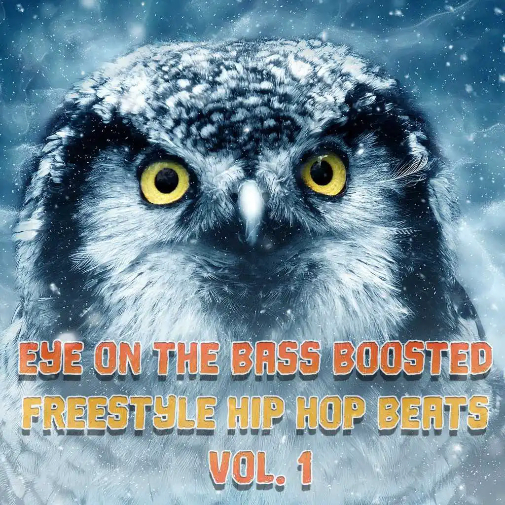 Eye on the Bass Boosted Freestyle Hip Hop Beats, Vol. 1