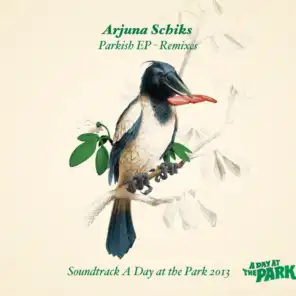 Parkish (Maximiljan Breaks Remix)