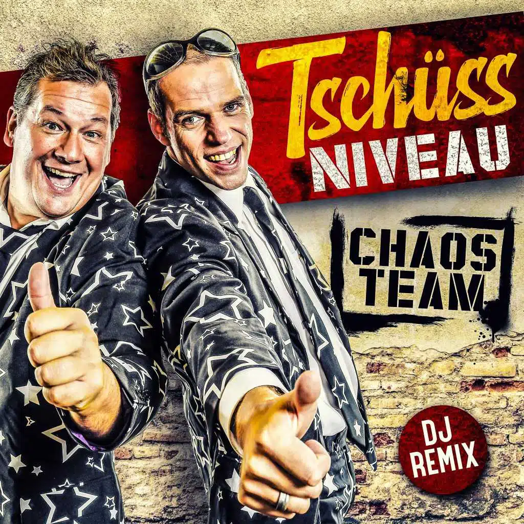 Tschüss Niveau (DJ Remix)