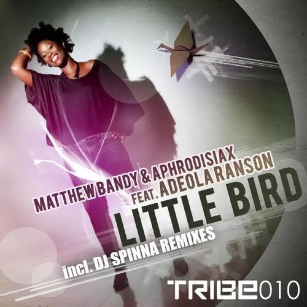 Little Bird (DJ Spinna Remixes)