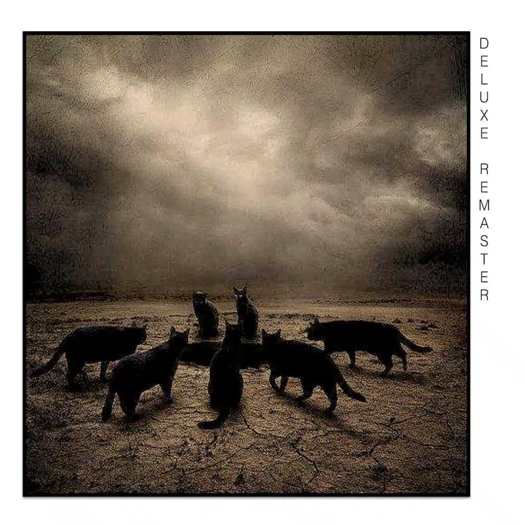 Contempt (2018 Deluxe Remaster)