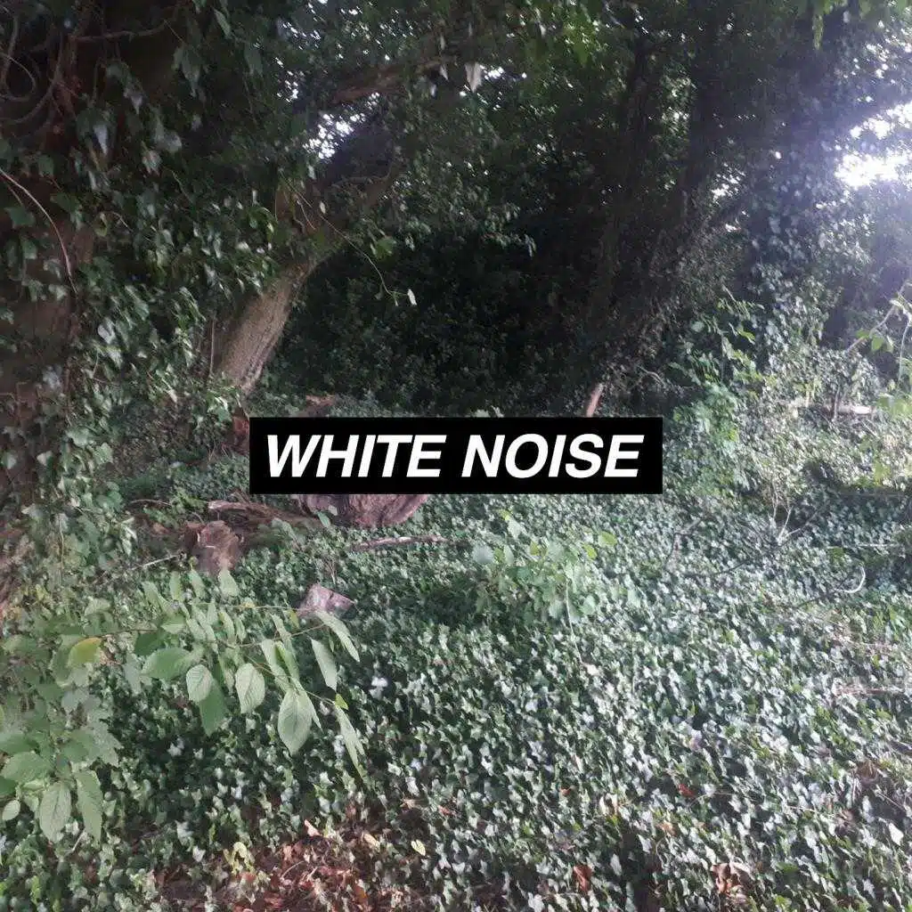 Singing Bowls of Tibet, White Noise Collectors & Rain Noise Collectors