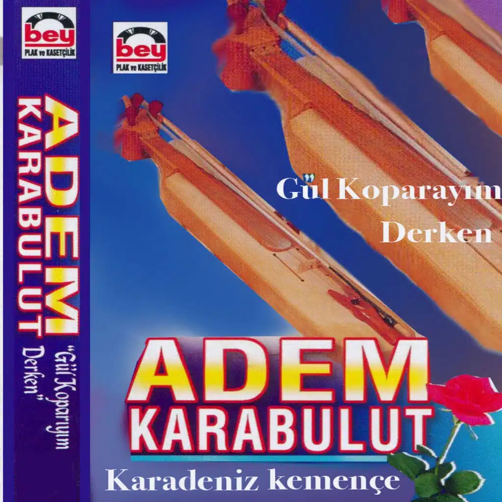 Gül Koparayım Derken