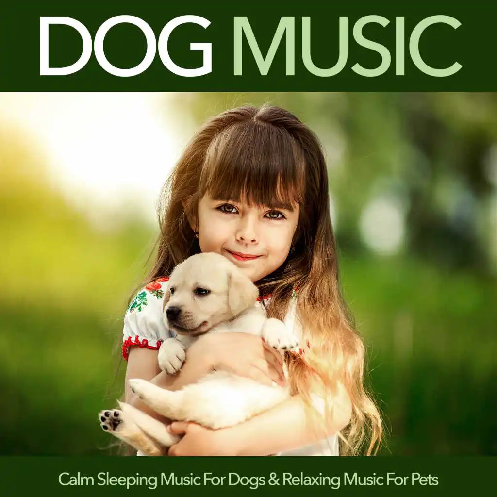 Soft Music For Pets