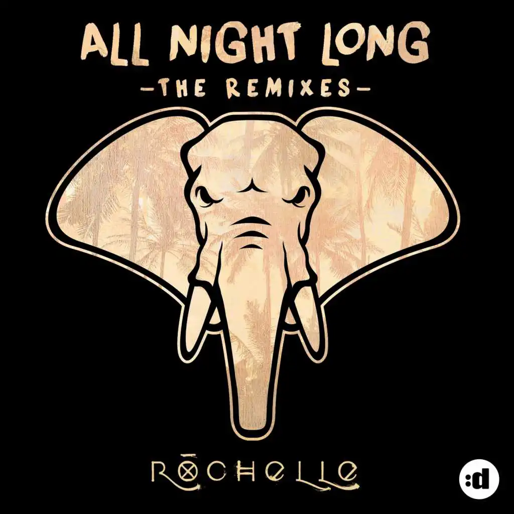 All Night Long (DVDG Remix)