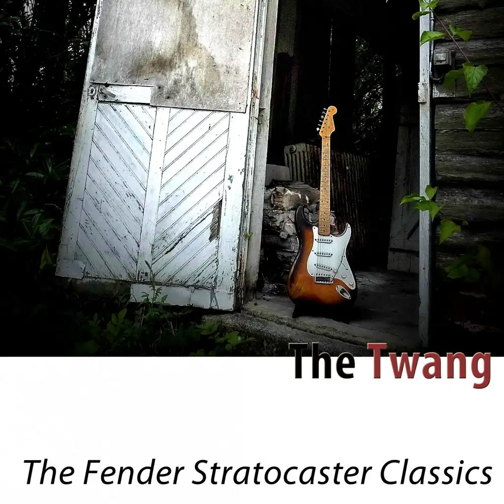 The Twang - The Fender Stratocaster Classics