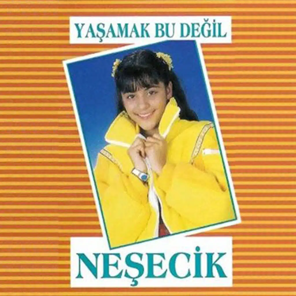 Neşecik