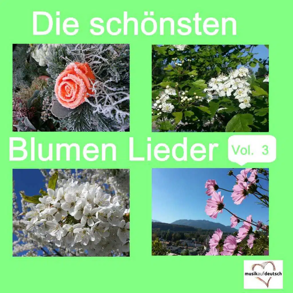 Die schönsten Blumen Lieder, Vol. 3