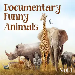 Documentary Funny Animals, Vol. 1