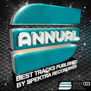 Annual - Best Tracks Published By Spektra in 2013 (Alt-A Remix)