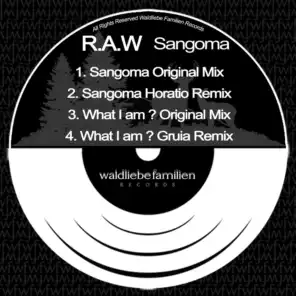 Sangoma (Horatio Remix)
