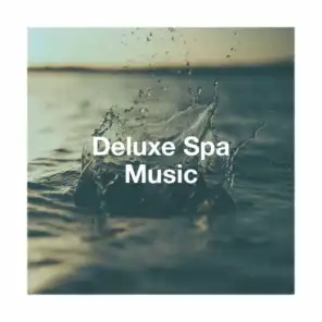 Deluxe spa music