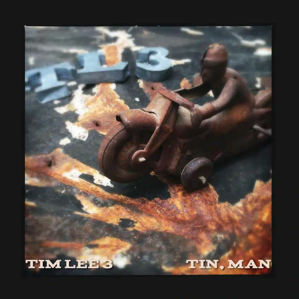 Tim Lee 3