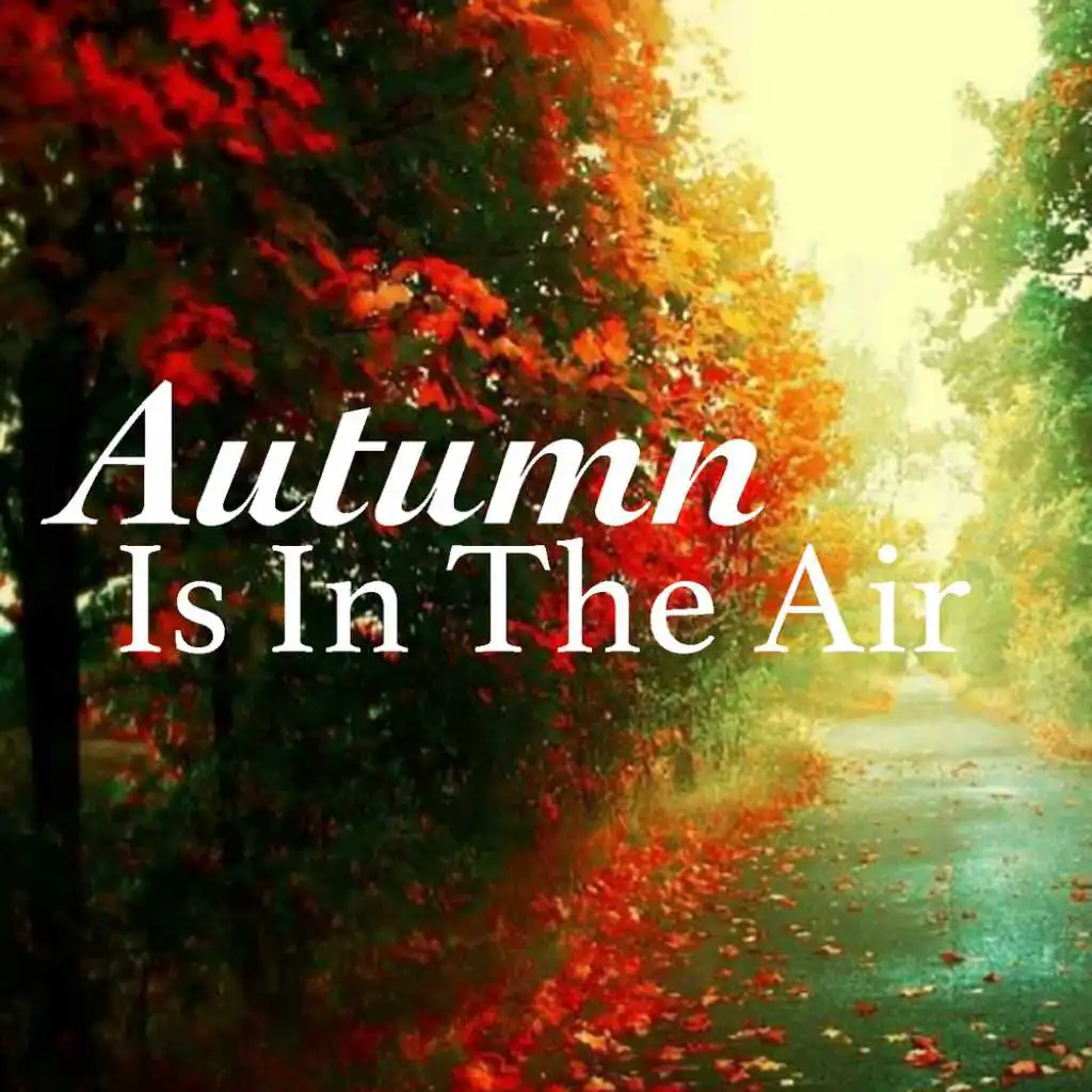 Autumn Is In The Air