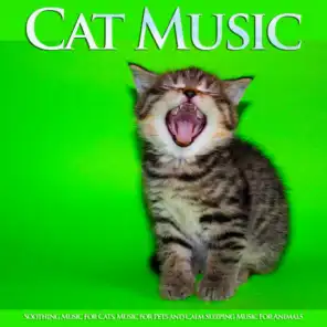 Cat Music: Soothing Music For Cats, Music for Pets and Calm Sleeping Music For Animals