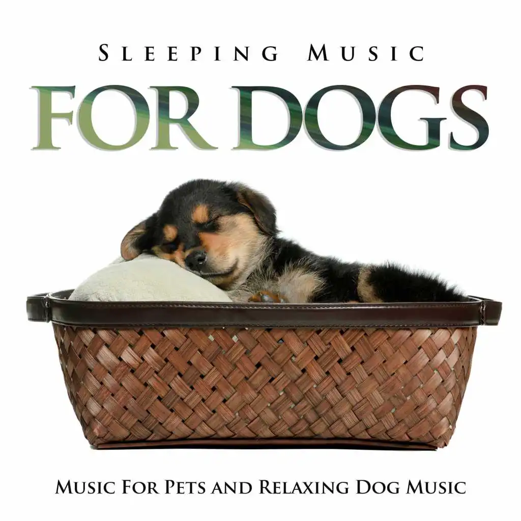 Sleeping Music For Dogs, Music For Pets and Relaxing Dog Music