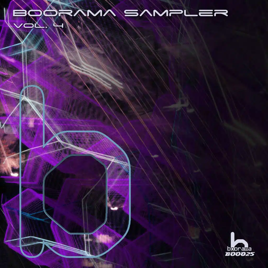 Boorama Sampler, Vol. 4