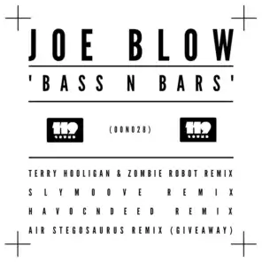 Bass N Bars (Terry Hooligan & Zombie Robot Remix)