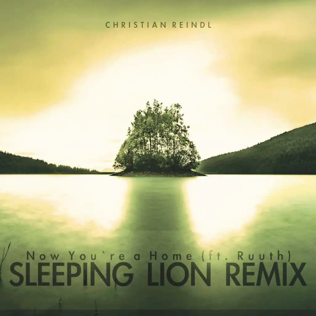 Now You're a Home (Remix) [feat. Sleeping Lion & Ruuth]