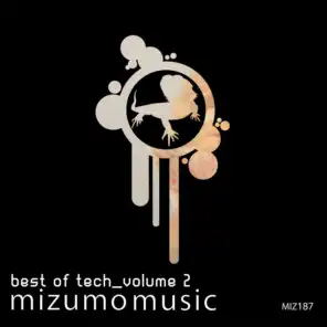 Best of Tech, Vol. 2 (Kaufmann Und Ferdinand Remix)