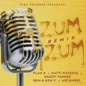 Zum Zum (Remix) [feat. RKM & Ken-Y & Arcangel]