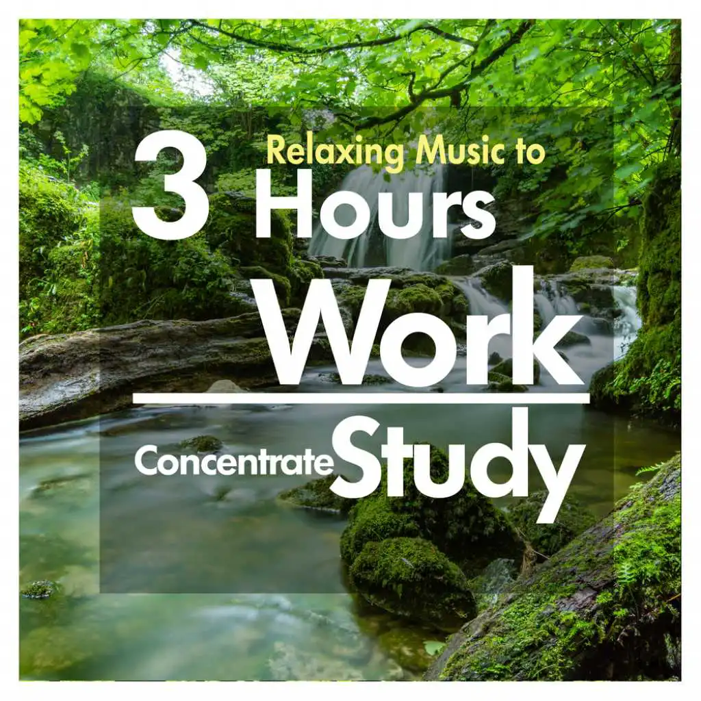 3 Hours of Relaxing Music to Work, Study and Concentrate