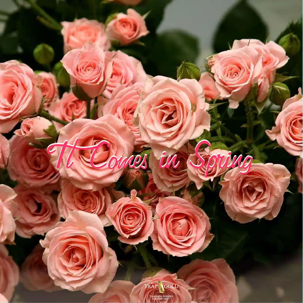 It Comes in Spring (feat. Burciaga)