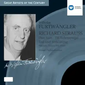 Strauss:Orchestral Works, etc