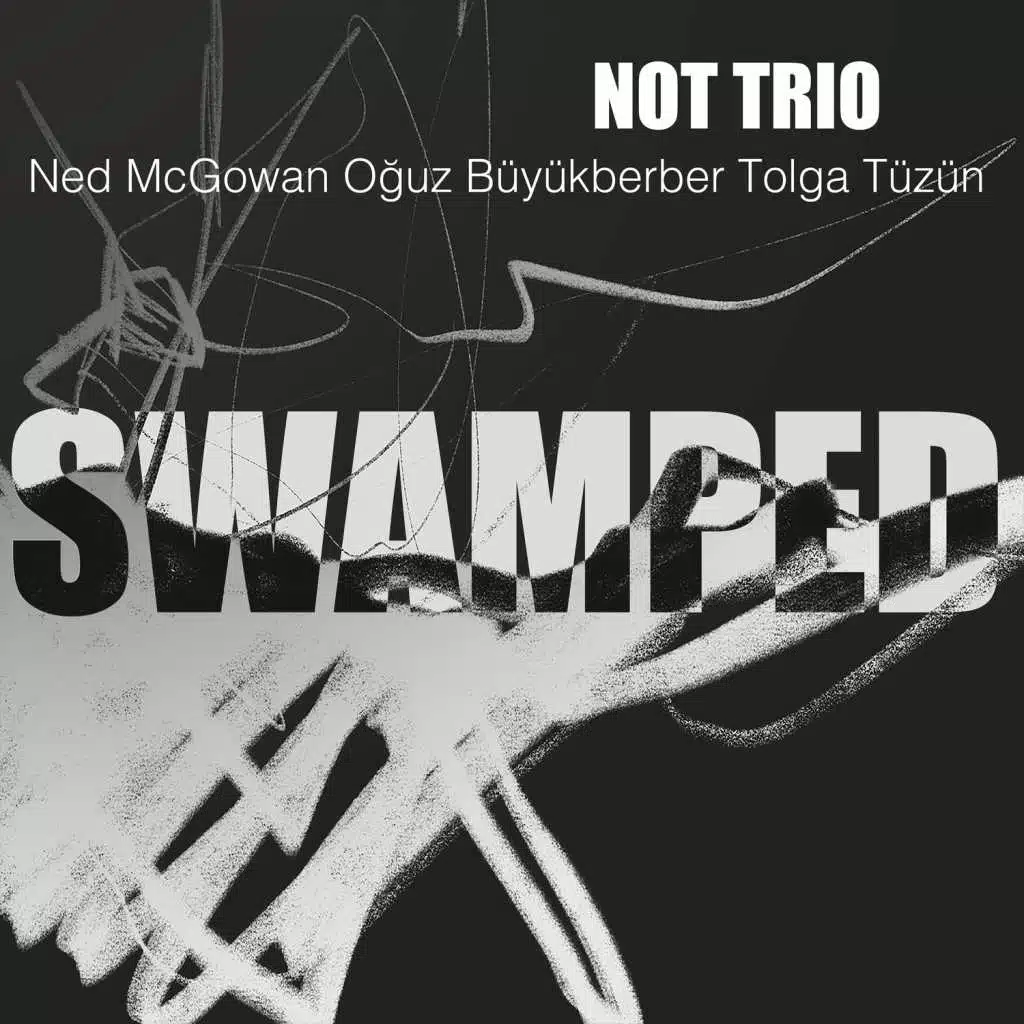Swamped (feat. Ned McGowan, Oğuz Büyükberber & Tolga Tüzün)