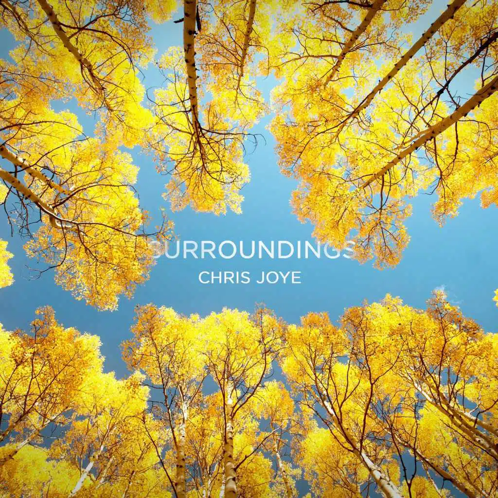 Surroundings