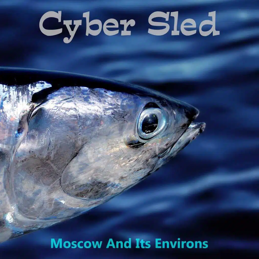 Cyber Sled