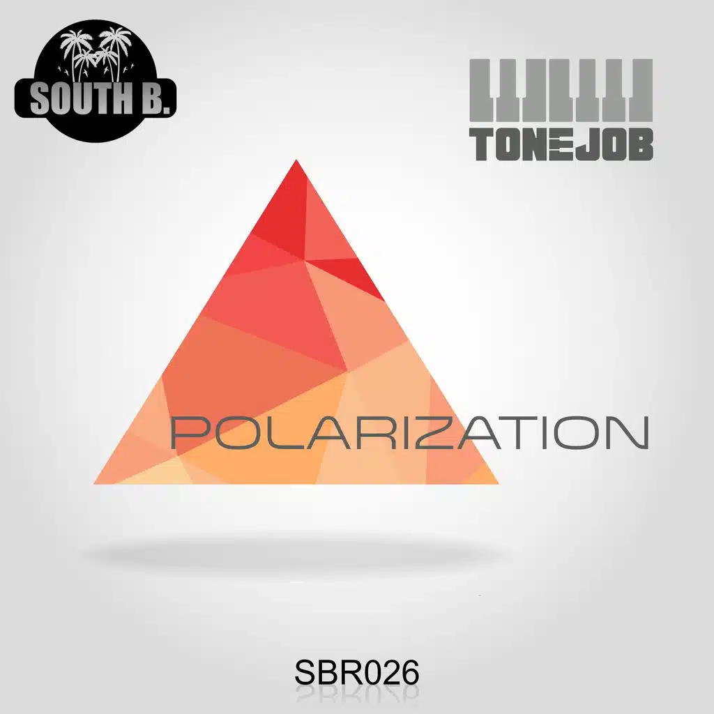 Polarization