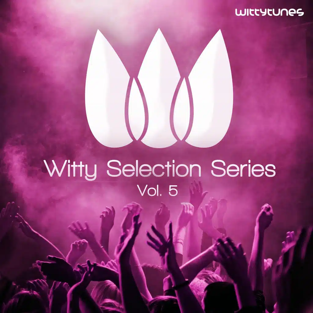 Witty Selection Series, Vol. 5