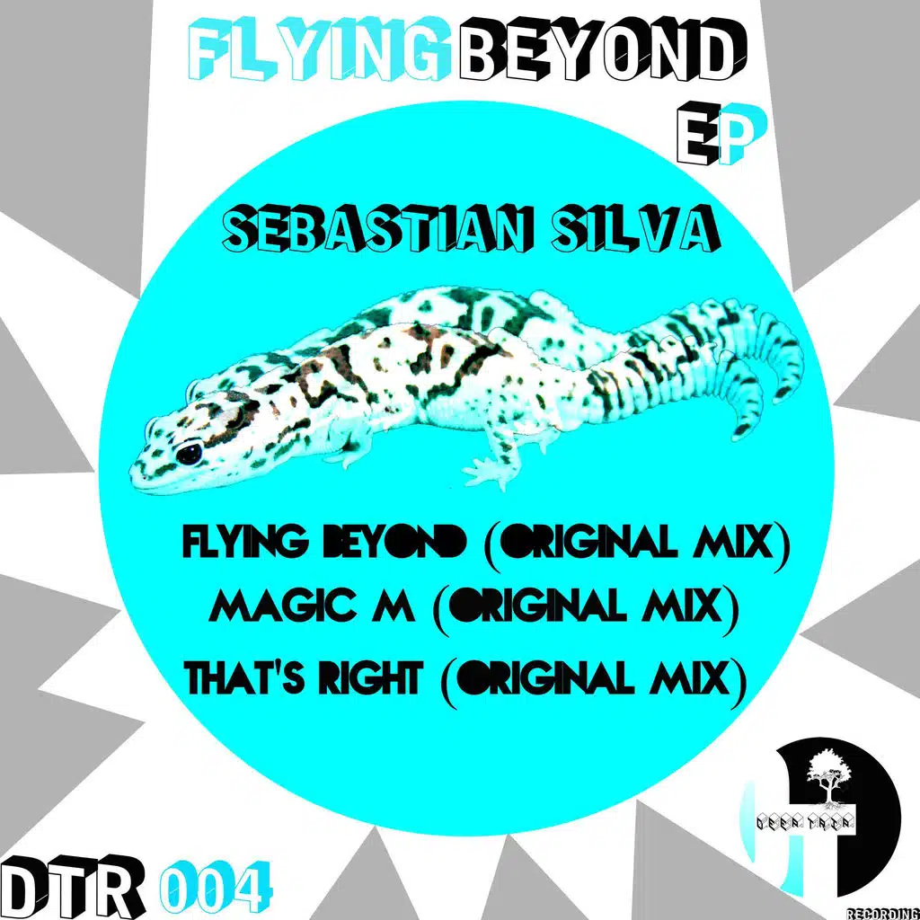 Flying Beyond
