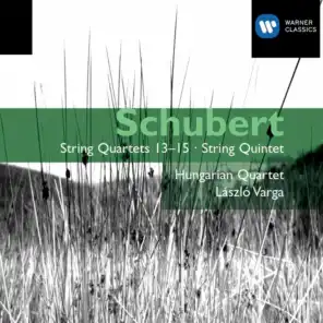 String Quartet No. 13 in A Minor, Op. 29, D. 804 "Rosamunde": I. Allegro ma non troppo