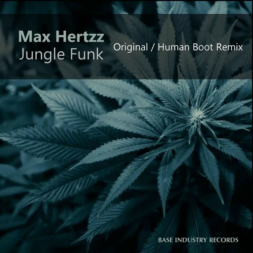 Jungle Funk