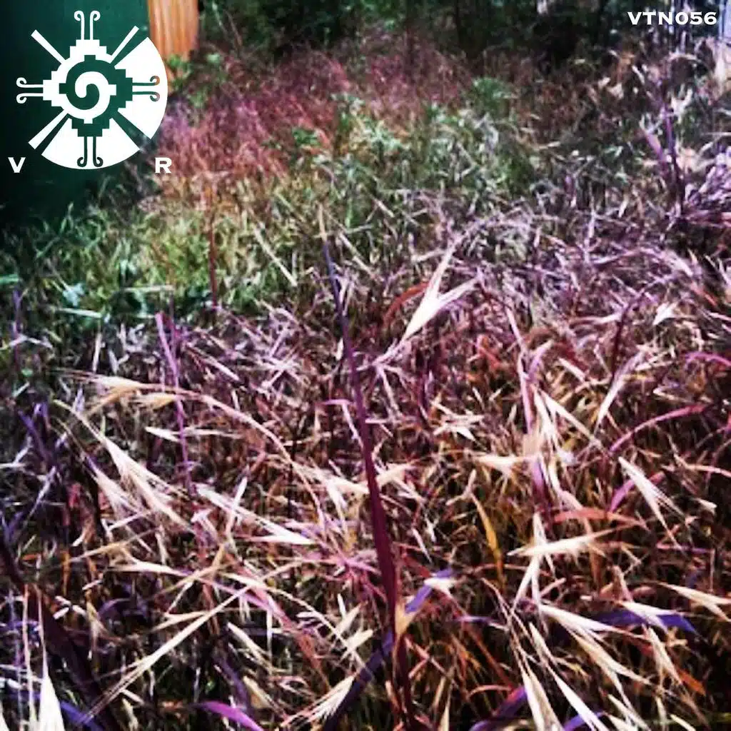 Rise Remixes (Addie Manson Remix)