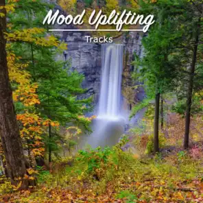 #17 Mood Uplifting Tracks for a Great Nights Sleep