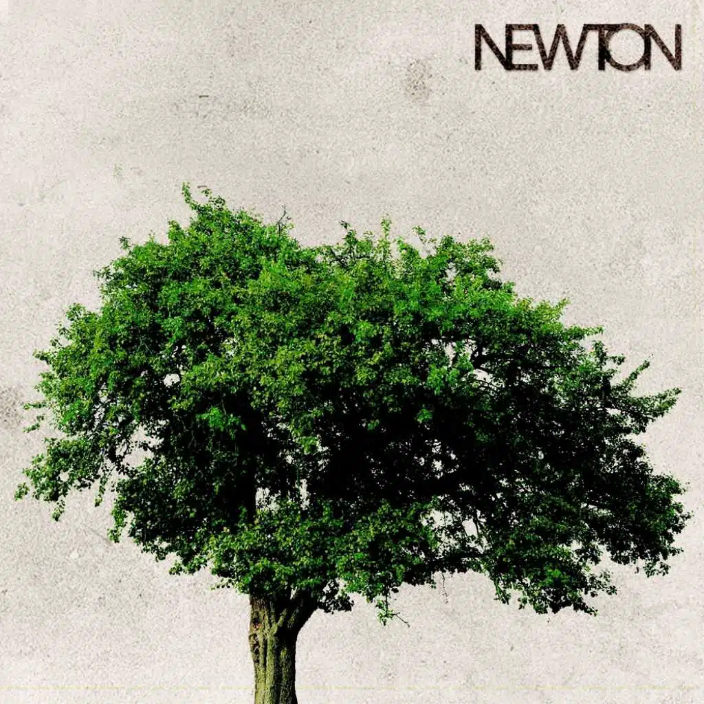 Newton