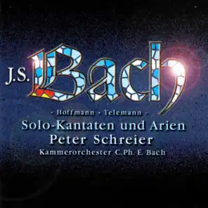 Bach, J.S, Hoffmann & Telemann: Solo Cantatas & Arias