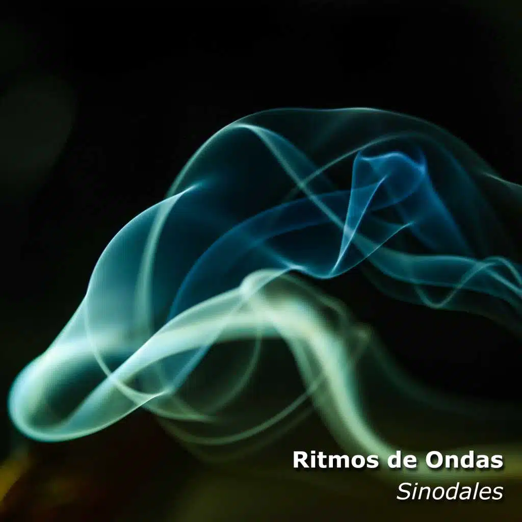 19 Ritmos de  Ondas Sinodales para Niños Incansables