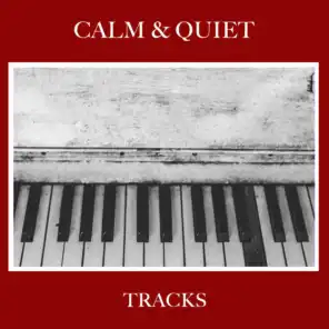 #20 Calm & Quiet Tracks