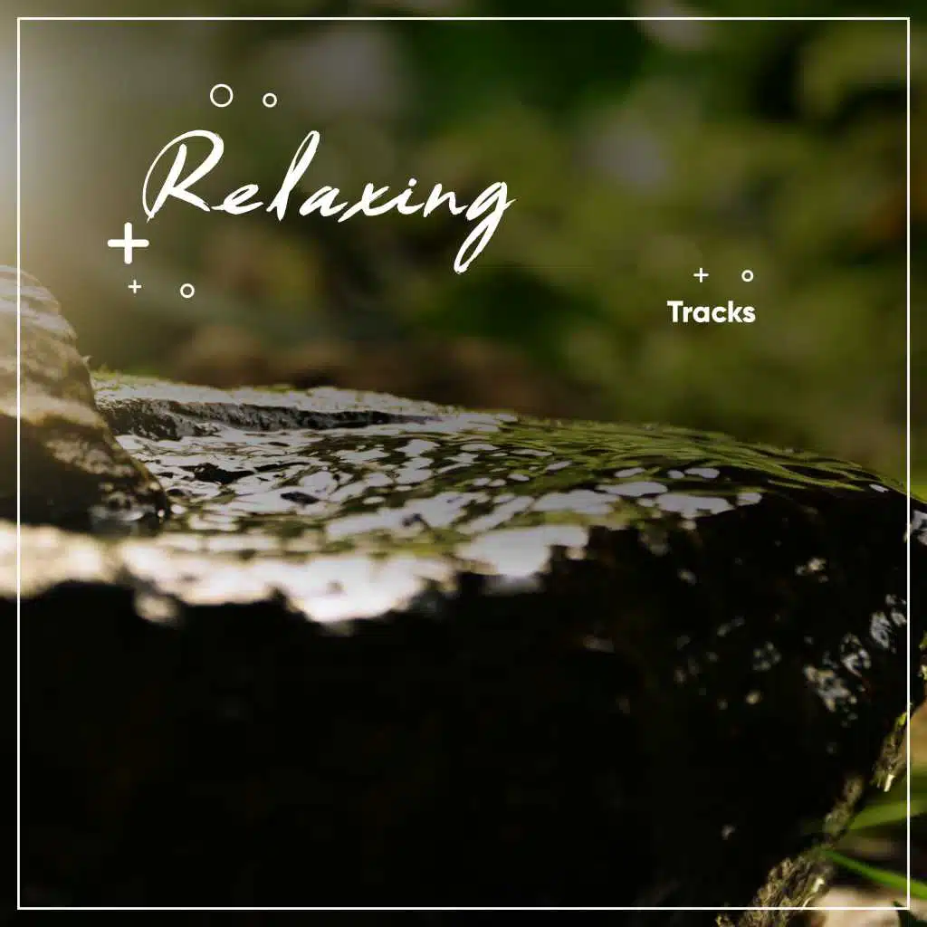 22 Entspannungsspuren zur Erleuchtung