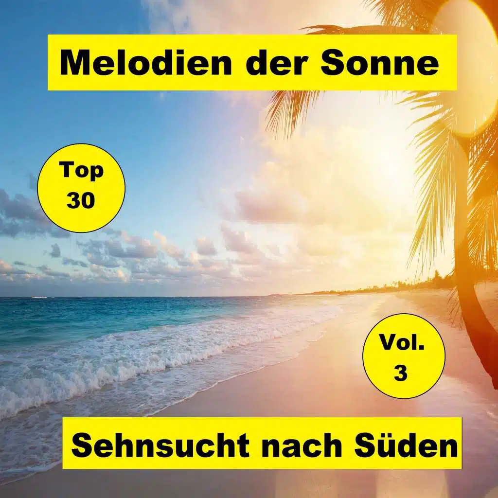 Top 30: Melodien der Sonne - Sehnsucht nach Süden, Vol. 3