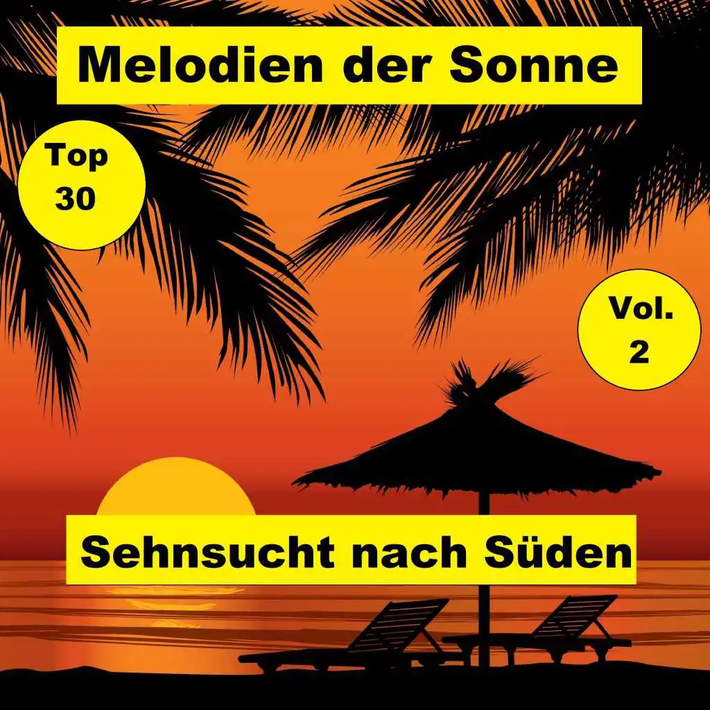 Top 30: Melodien der Sonne - Sehnsucht nach Süden, Vol. 2