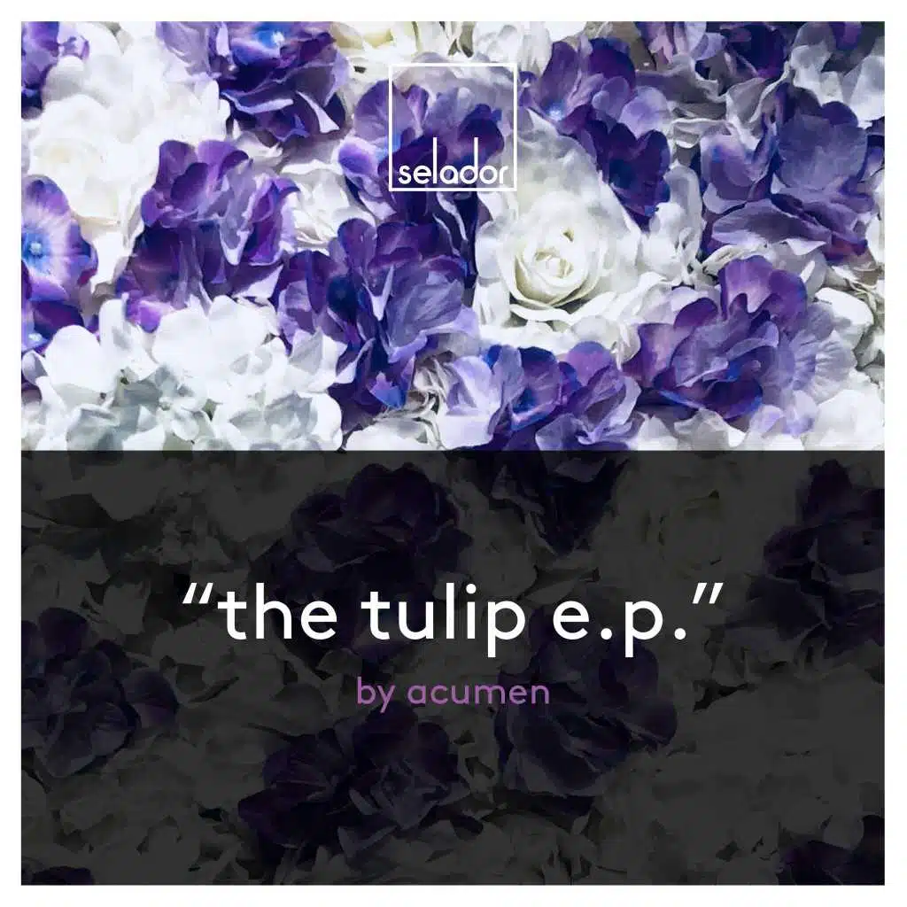 Tulip