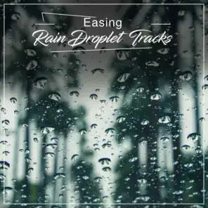 #18 Easing Rain Droplet Tracks