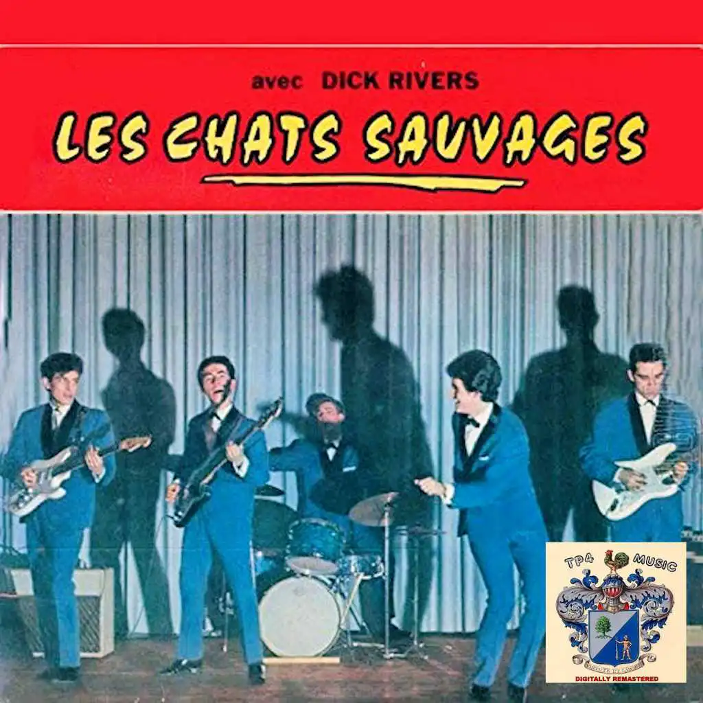 Avec Dick Rivers Les Chats Sauvages