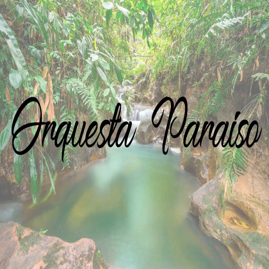 Orquesta Paraiso