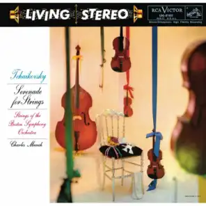Serenade in C Major for Strings, Op. 48, TH 48: III. Elegy - Larghetto elegiaco
